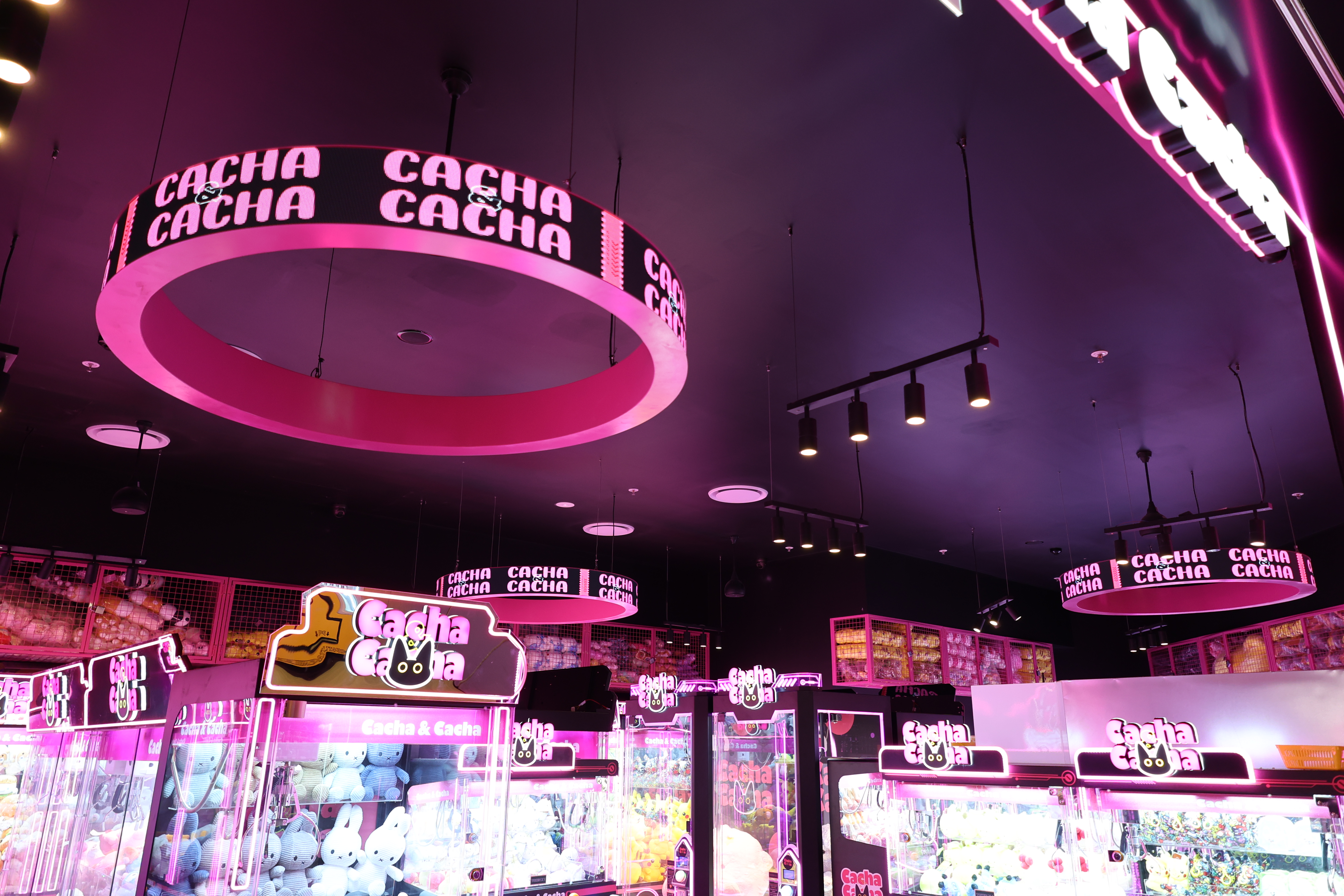 Cacha Cacha — image 7